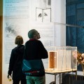 TRANSPARENT BEEHIVE  at BEAF BRUSSELS -  festival + exhibition