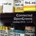 Connected OpenGreens - publication for Burning Ice #4, 2011